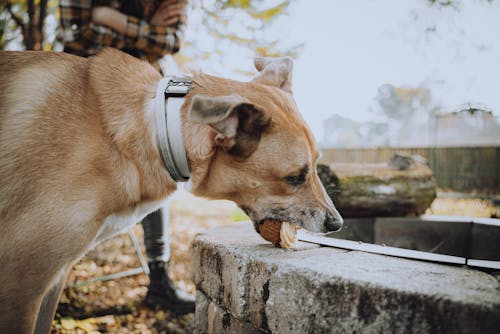 Top 2 AI Stocks for 2026: Projected Gains of Over 100% Amid Software Bear Market