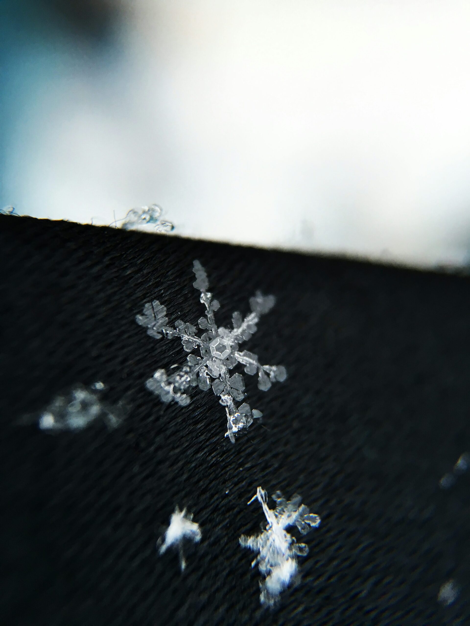 software - Exploring the $200 Million Snowflake OpenAI Partnership